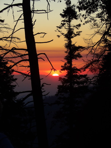 Sequoia National Park