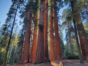 Sequoia National Park
