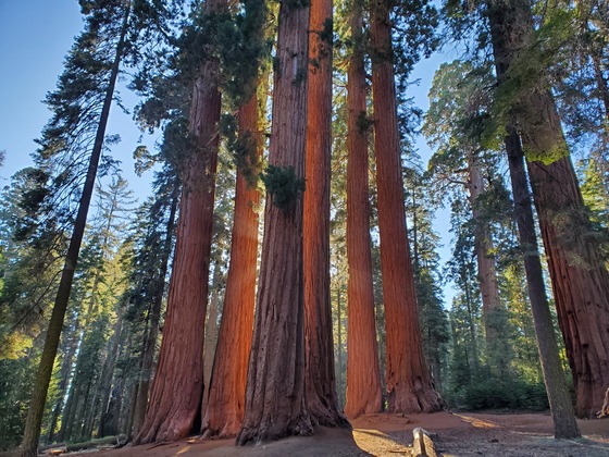 Sequoia National Park