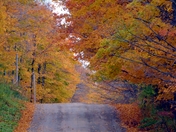 AUTUMN COUNTRY ROAD