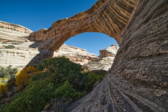 Natural Bridges Natl Monument
