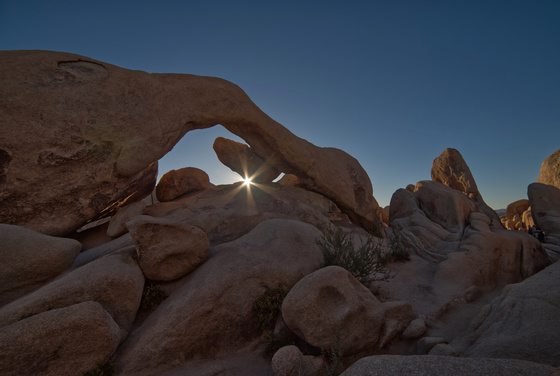 Joshua Tree National Park