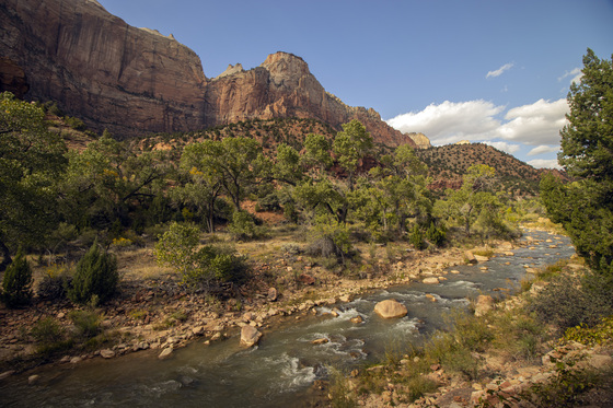 Zion National Park