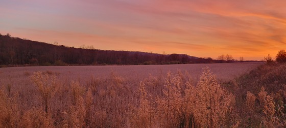 Delaware Water Gap National Recreation Area