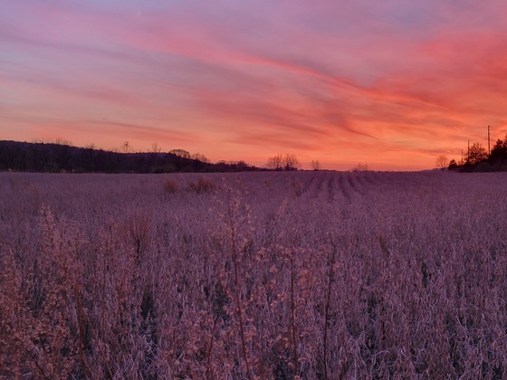 Delaware Water Gap National Recreation Area