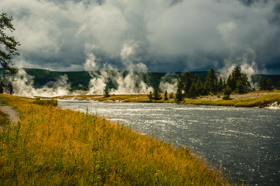 Yellowstone NP