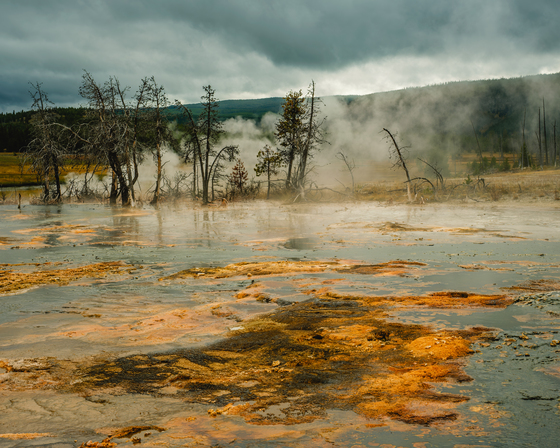 Yellowstone NP