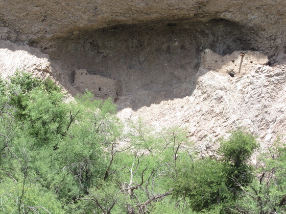 Bonita Creek, Safford Field Office
