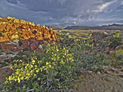 Arches National Park