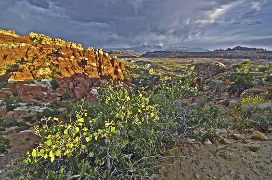 Arches National Park