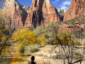 Zion National Park