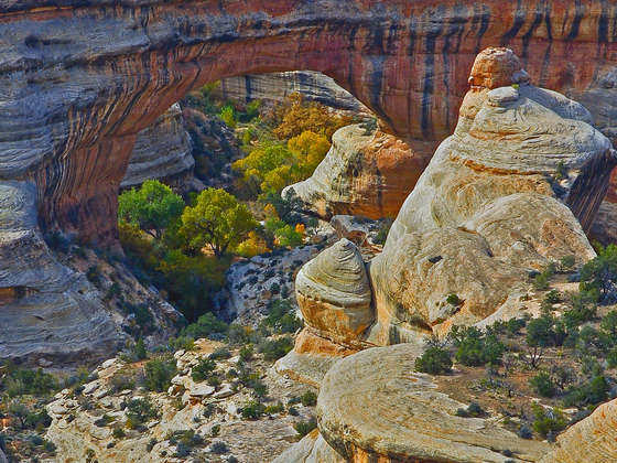 Natural Bridges National Monument