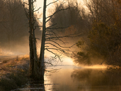 Pungo Unit of Pocosin Lakes NWR