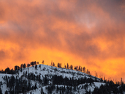 Yellowstone NP