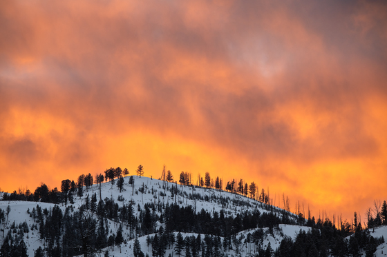 Yellowstone NP