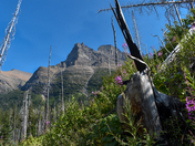 Glacier National Park