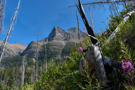 Glacier National Park