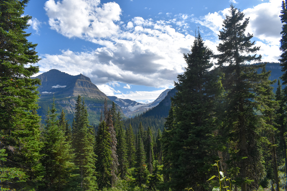 Glacier National Park