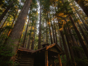 Olympic National Park