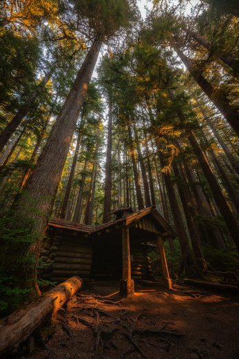 Olympic National Park