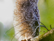 Arthur R. Marshall Loxahatchee National Wildlife Refuge