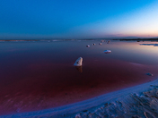 Don Edwards San Francisco Bay National Wildlife Refuge