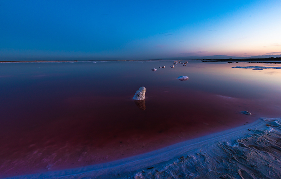 Don Edwards San Francisco Bay National Wildlife Refuge