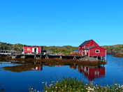 Cheers from Change Islands