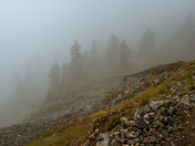 North Cascades National Park