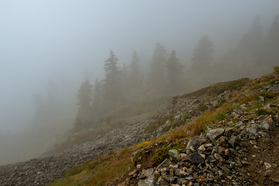 North Cascades National Park