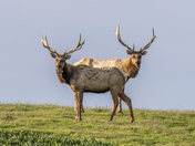 Point Reyes National Seashore