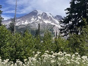 Mount Rainer NP