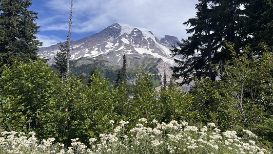 Mount Rainer NP