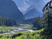Mount Rainer NP