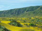 Carrizo Plains NM