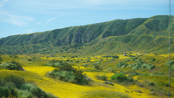 Carrizo Plains NM