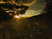 Pike-San Isabel National Forests
