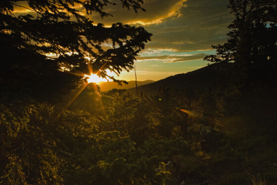 Pike-San Isabel National Forests