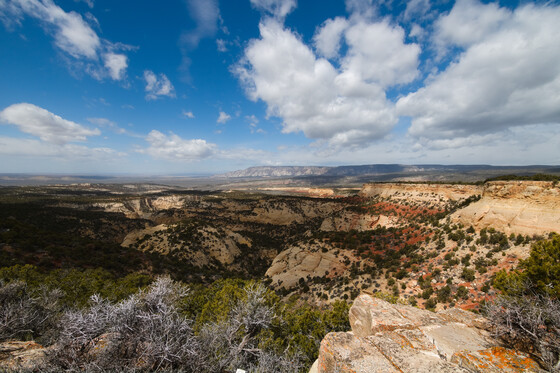 Dinosaur National Monument