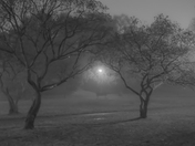 Spooky park 