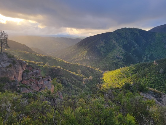 Pinnacles national park