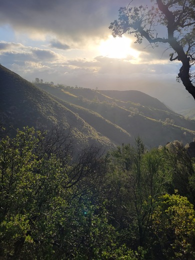 Pinnacles national park