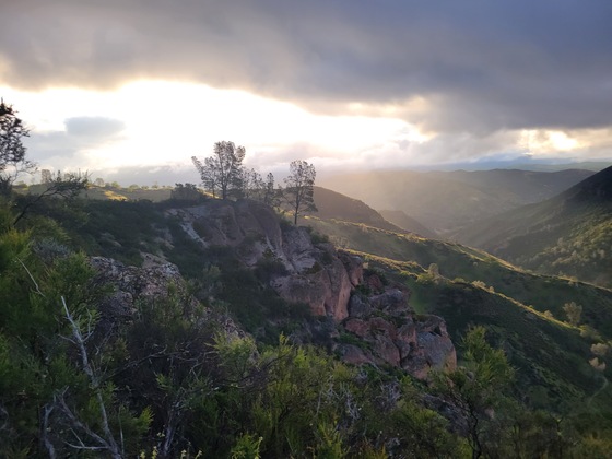 Pinnacles national park