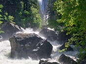 Yosemite National Park