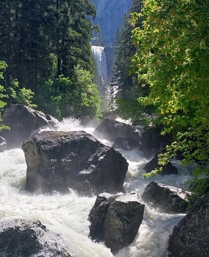 Yosemite National Park
