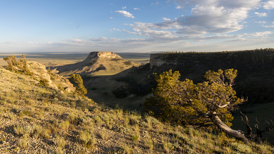 Oregon Buttes Wilderness Study Area