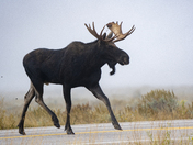 Teton National Park