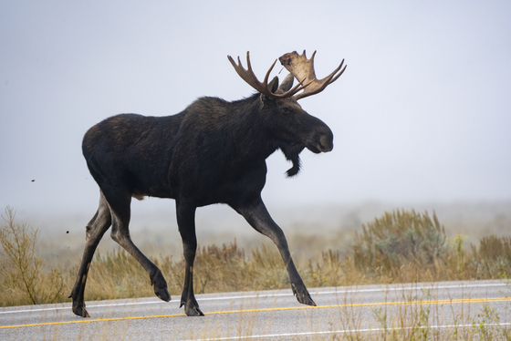 Teton National Park