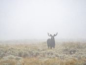 Teton National Park