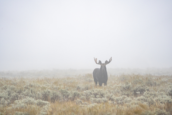 Teton National Park